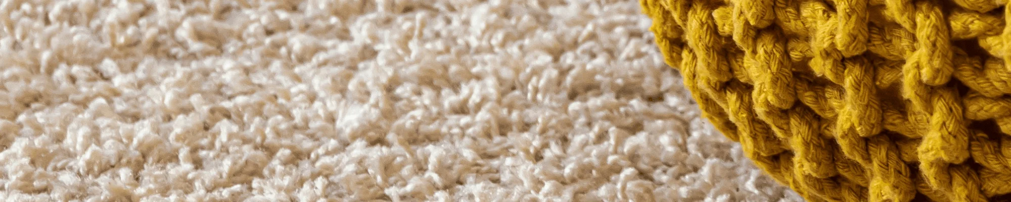 Carpet Care & Maintenance