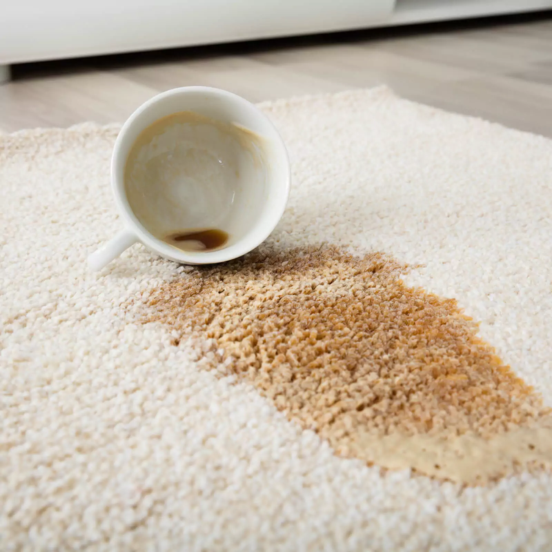 Flooring cleaner services from Carpets & More in Oviedo